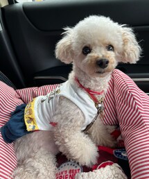 チャコはスヌーピーのワンピだよ🌸 | ペットウェア