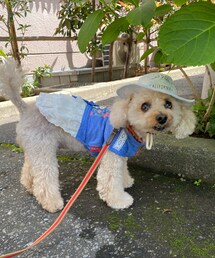 チャコはスヌーピーだよ🌸 | ペットウェア