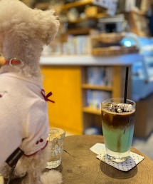 チャコとモカショコラミント🥤 | 夏はチョコミント推し✨(ペットウェア)
