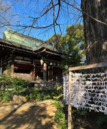 自由が丘の守り神へお参り✨ | その他