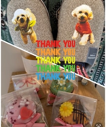 ひらいちゃんからのプレゼント🎁✨ | ルームシューズ/スリッパ