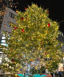 自由が丘のツリー🎄✨ | アウトドア/スポーツ