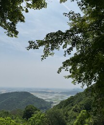 涼しかったぁ🍃 | ウグイスがめちゃ鳴いてたよ🪽✨(その他)