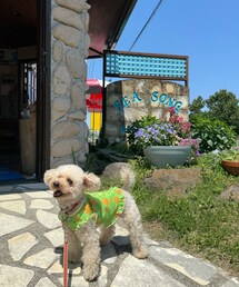 ランチするよー🩷 | チャコは初めての場所でテンション高め🩷(アウトドア/スポーツ)