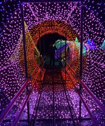 イルミネーション | 虹のトンネルでワープだぁ🌈(その他)