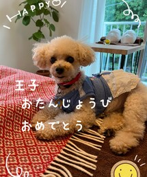 チャコからもお誕生日おめでとう💗 | ペットウェア