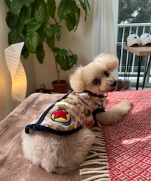 ぬくぬくフリースのチャコ🌸 | ペットウェア