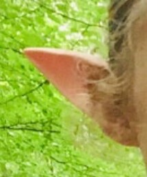 Elf ear | ファッション雑貨