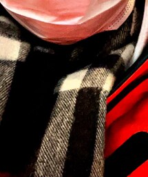 BURBERRY | マフラー