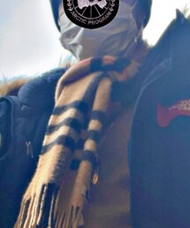 BURBERRY | マフラー