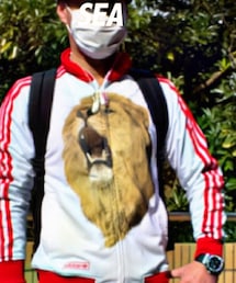 adidas Originals | ジャージ