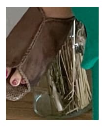 JOURNAL STANDARD | サンダル