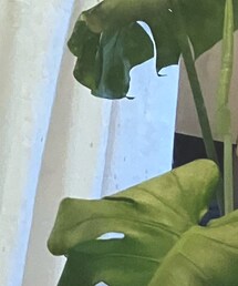 ROSE BUD | スカート