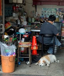 ワンコのいる台湾バイク屋 | その他
