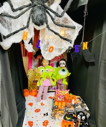 蜘蛛もいます🕷🕸 | その他雑貨