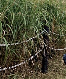 母のおさがり | ハンドバッグ