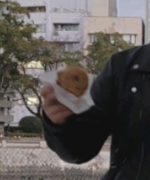 たい焼き | その他