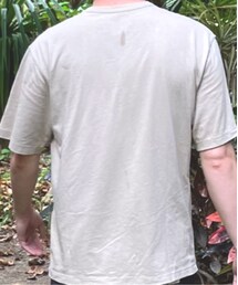 DANTON | Tシャツ/カットソー