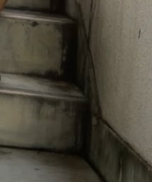 Regetta Canoe | スリッポン