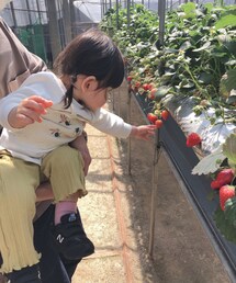 いちご狩り🍓 | ラッピングキット
