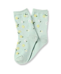 BRANSHES | ソックス/靴下