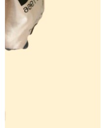 THE NORTH FACE | トートバッグ