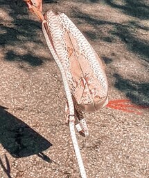 Target | バックパック/リュック