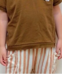 BRANSHES | Tシャツ/カットソー