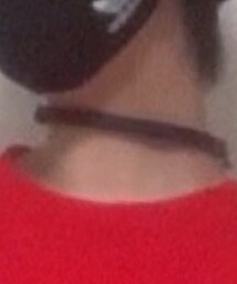 ダイソー | チョーカー