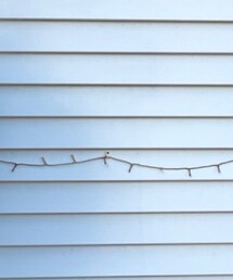 AVIREX | デニムパンツ