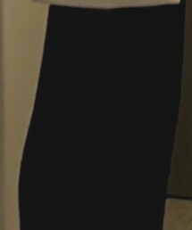 ZARA | スラックス