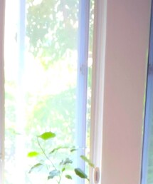 COMOLI | ジャケット/アウター