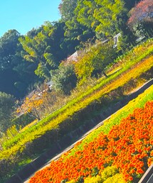 GUNG HO | デニムジャケット