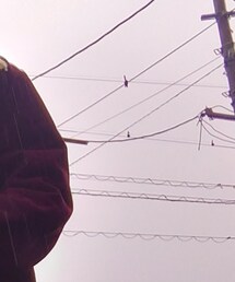 古着 | ブルゾン