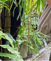 ZARA | ショルダーバッグ