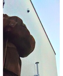 Christian Dior | ブルゾン