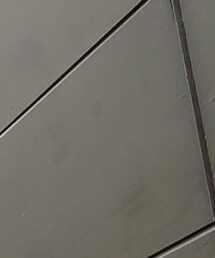 SCREEN STARS | Tシャツ/カットソー