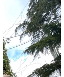 古着 | ハンチング/ベレー帽