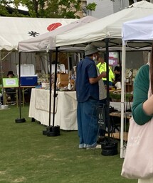 BEAUTY&YOUTH UNITED ARROWS | カーディガン/ボレロ