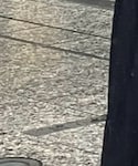 UNIQLO(ユニクロ)の「パンツ(パンツ)」