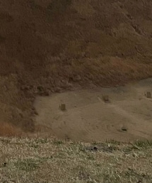 THE NORTH FACE | スウェットパンツ