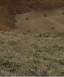 THE NORTH FACE | ブーツ