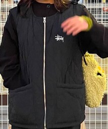 STUSSY | ダウンベスト