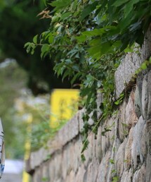 GLITCH | サングラス