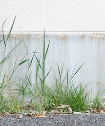 NORIEI | シューズ