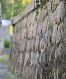 TAUPE | シャツ/ブラウス