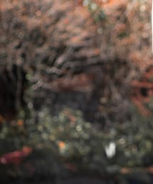 odd numbers | ネクタイ