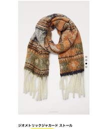 ZARA | ストール/ショール