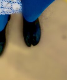 Maison Margiela | ブーツ