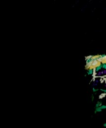 ZARA | テーラードジャケット